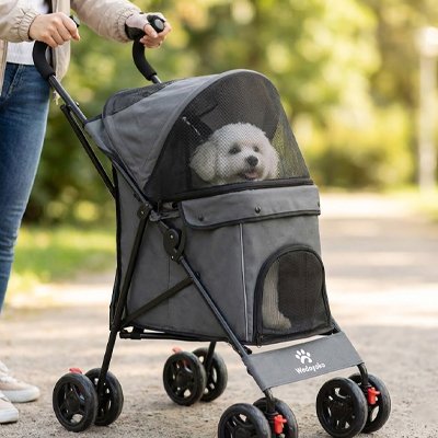 Poussette chien 