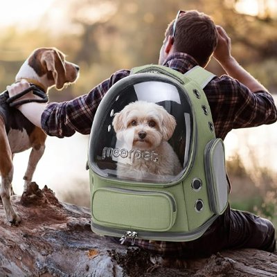 Sac transport Chien